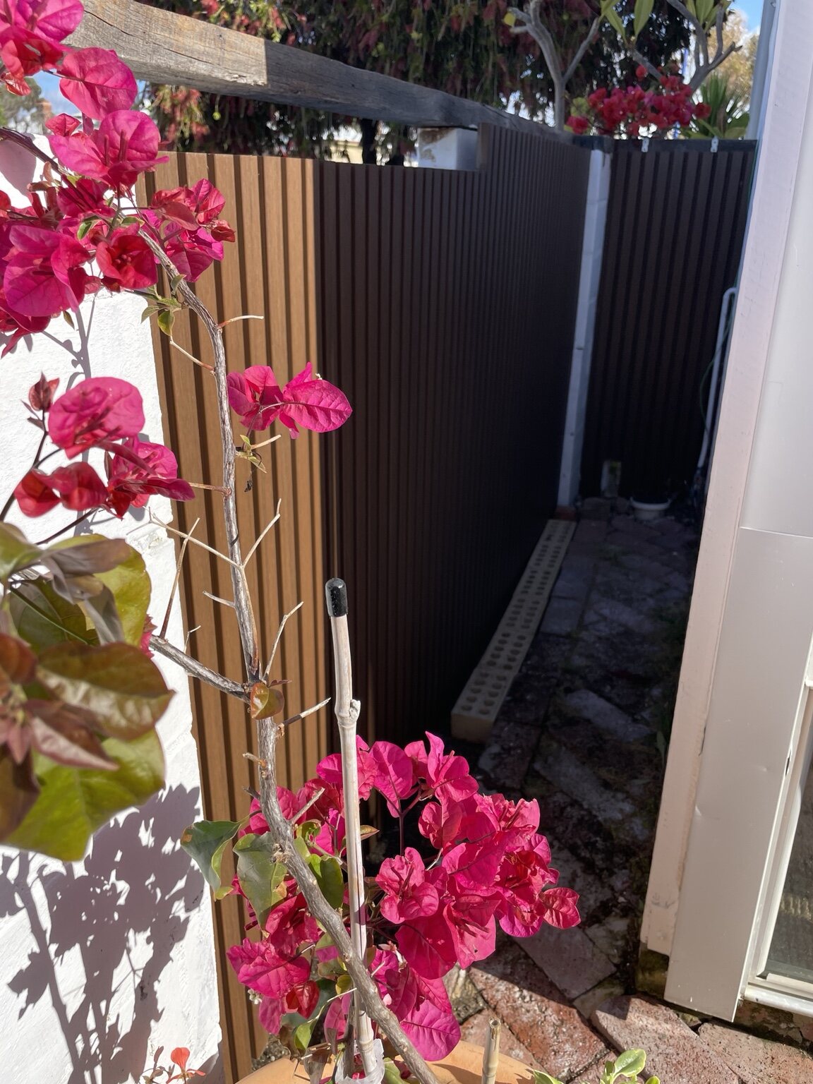 Finished boundary fence beside a colourful established garden